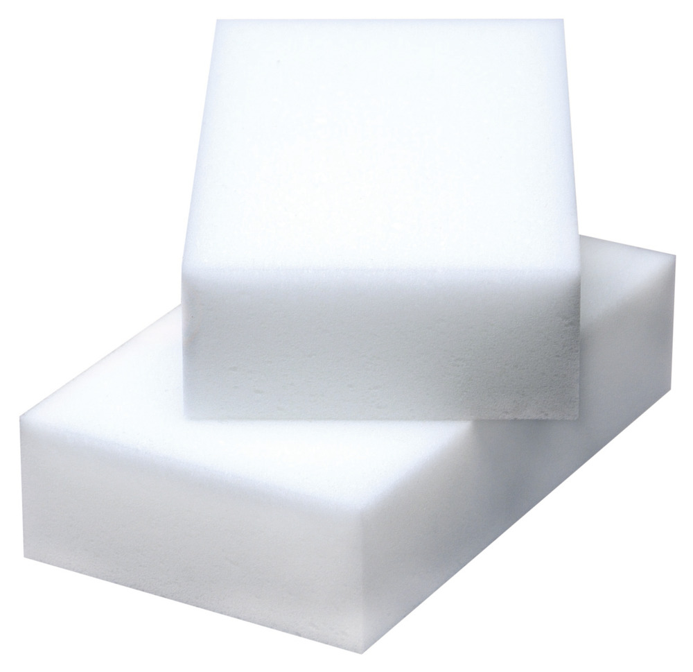 Mirakelsvamp - 10 pack